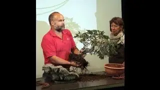 BONSAI EXPRESS 2.0 Edoardo Rossi