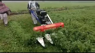 Fodder Reaper Cutter Working AP-2200