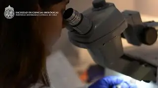 Carrera Bioquímica UC 2021