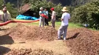 Fındık zamanı