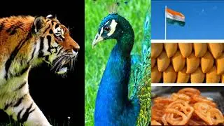 4th std | The inter relationship with living things (Sect 1) | EVS 1 | By- Mrs. Rosemary Dhudat