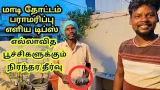 Best Organic Pesticides for all plants | terrace garden maintenance