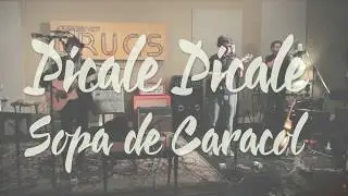 Latin music band live performance video - Picale and Sopa de Caracol