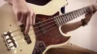 Басовые струны Dunlop Super Bright: Пол Тернер