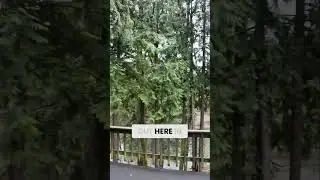 Cozy Cabin Magic: Unbelievable Views & Real Estate Secrets REVEALED!