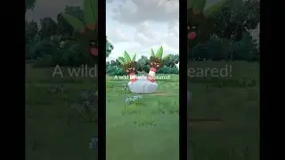 Shiny Binacle From Field Reaearch!! #pokemongo #pokemon #shiny