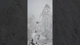 #Алтай #чуйскийтракт #travel #отпуск #путешествия #reels #красота #winter #горы #Катунь