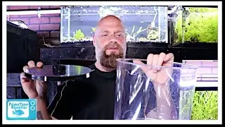 Fish Tank Filter Showdown: Under Gravel Filter vs Sponge Filter!