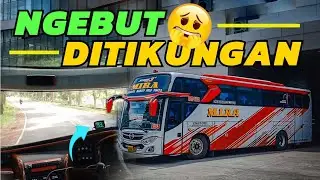 NYAMAN BANGET‼️TRIP REPORT BUS MIRA 7268 SOLO - MADIUN TERBARU