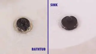 StopShroom Plug