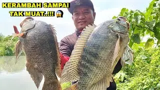 Memang Spot Mancing ini gak ada Tanding ikan Nila nya Babon semua kerambah sampei tak muat