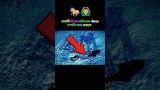 ঘোড়াটি খুবই চালাক ছিল 🐎🐴 | Movie Explanation #amazingfacts #youtubeshorts #shortsfeed #shorts #facts