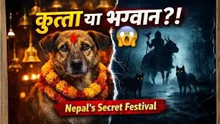 Dogs of Nepal: The Only Place Where Dogs Are Worshipped 😱 | World Dog Series