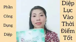 C&aacute;ch Gi&uacute;p Chị Em Lấy Lại Tuổi Thanh Xu&acirc;n - Collagen