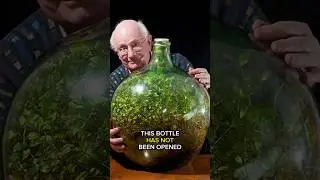 The 51-Year-Old Sealed Bottle Garden