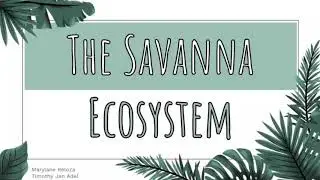 Savanna Ecosystem | Ecosystem Management