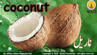 Fruits - Science for Early Learners - Vocabulary for Early School Education - Read Foundation