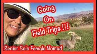 Senior Solo Female Nomad/Field Trip !