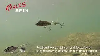 Lures in Motion: Realis Spin