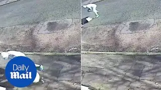 Moment women gets dragged across the road by handbag thief - Daily Mail