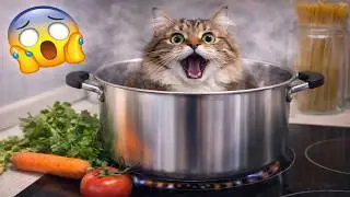 You Laugh You Lose 😹 | Funniest Viral Cat Videos 2026