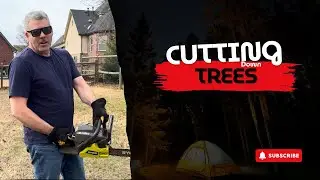 Cutting Down Dead Trees &mdash; What Was Living Inside Shocked Me