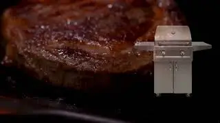 Artisan 26 Inch 2 Burner American Eagle Freestanding Gas Grill AAEP 26C NG LP