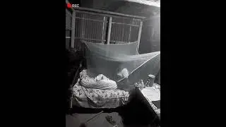 Jinn Video - জিনে কিভাবে মানুষকে ভয় দেখায় 🙄🙄 জ্বিন ভিডিও - MSH