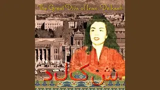 Baz gashteh