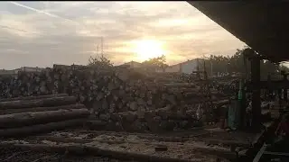 Hamari company ka upar se kya ja raha hai ✈️ itna Sara