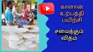 காளான் உற்பத்தி பயிற்சி வகுப்பு Mushroom Production Training Course