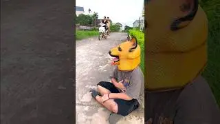 Help homeless dogs #shorts #trending #dog #cat #homeless