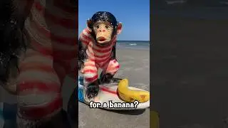 More Cool BEACH GEAR you want to see!