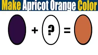How To Make Apricot Orange Paint Color   What Color Mixing To Make Apricot Orange
