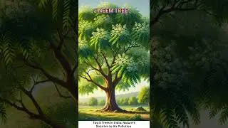 Top 5 trees that reduce air pollution in India || India's TOP 5 Air Purifying Trees Revealed!