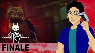 STRAY Livestream Finale | David Kang Plays