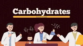 Carbohydrates in 5 Minutes in Hindi Part -1 | Easy & Complete Notes | Types, Functions, Examples