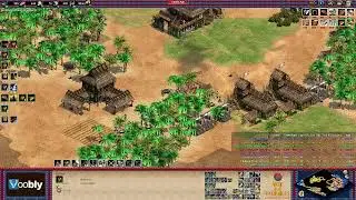 Voobly AOE2 1.6: Nomad, командная игра 4 на 4