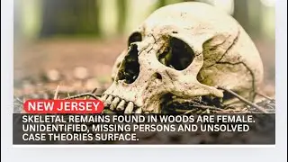 New Jersey Remains found in woods. Unidentified, missing persons and unsolved case theories surface.