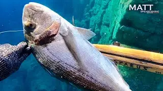 IL FAUT TOUJOURS REGARDER À TROUS 😲!!!  DAURADE  2,5 Kg | chasse sous marine - CORSE