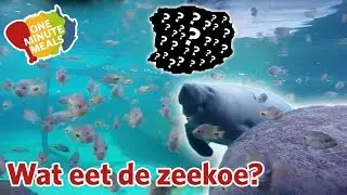 Zeekoe | One Minute Meals