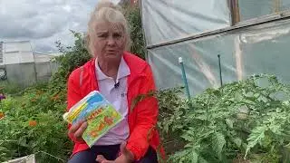 Успех начинается с семечка. Паста и гель Фитоспорин и Гуми дают богатейшие урожаи.