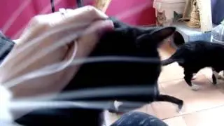 MOV07005