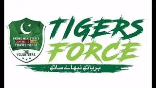 History of Tiger Force