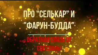 🎙Обратная связь Светланы про частоты Космоэнергетики 