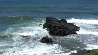 Mauritius - Plaża Gris Gris i plantacja herbaty Bois Cheri