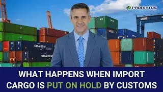What Happens When Import Cargo Is Put on Hold by Customs