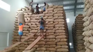 counting Bags in a stack ?चठ्ठे में कट्टो की गिनती कैसे करें ? #warehouse । Mahaveer Singh।