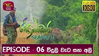 Sobadhara - Sri Lanka Wildlife Documentary | 2019-04-05 | Elephants & Electric Fence