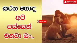 කරන හොඳ අපි පස්සෙන් එනවා බං ✅  Motivational Video ~ #motivation #viral @Guruwaraya